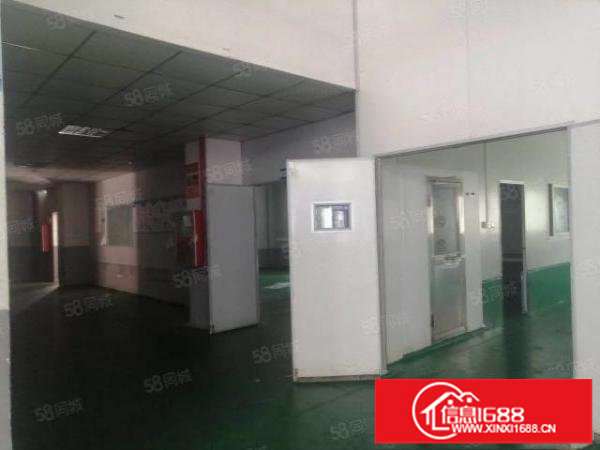 观澜桂花新出6米高1900平方一楼带精装厂房出租可分租