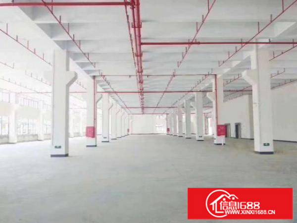 标准新建厂房放租，伦教工业区，一楼9米高，大小可租