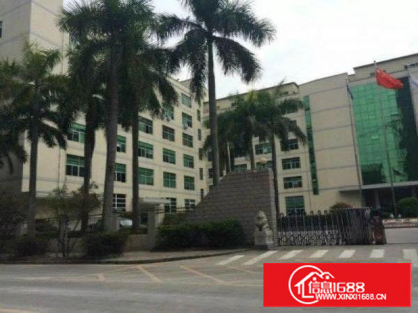 精装修高大尚厂房楼上2000平方！上市公司必选