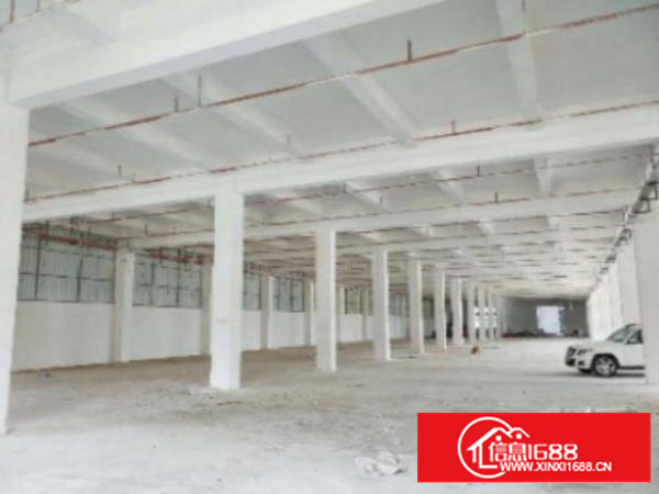 新出一楼3000平米7米高装修厂房出租