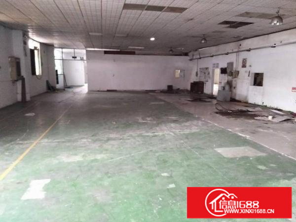 厂房可分租，位于港口路边独门独院厂房3280方