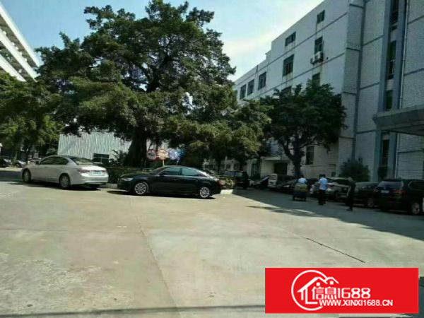 龙岗区横岗一楼1300平厂房出租，高6米，现成行车