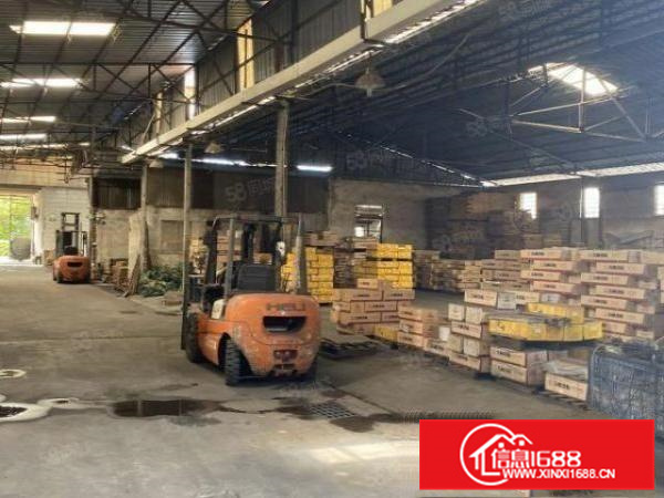 伦教三洲3000方简易厂房出租，交通便利