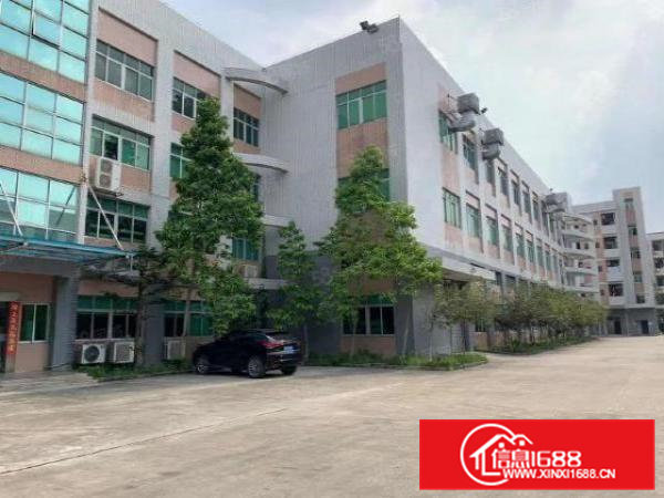 茶山原房东带红本现成装修大型工业园区独院厂房招租