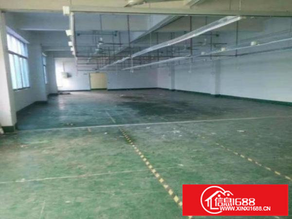 横岗原房东带红本办公大运地铁楼上1300平厂房出租