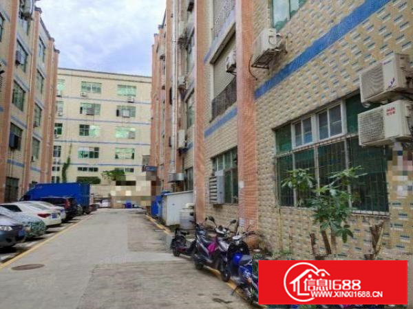 浪口工业区新出一楼厂房出租整层精装修1350平方水电齐全