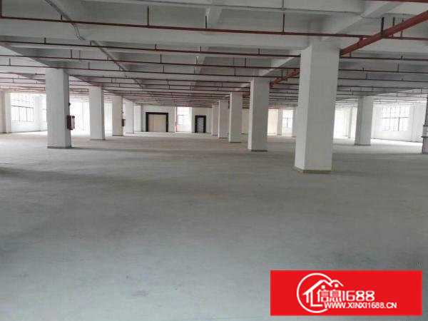 大朗镇空地大，交通好，带红本独院新厂房招租