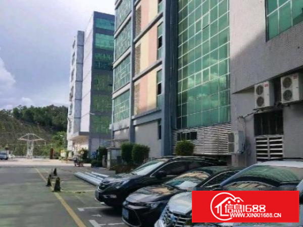 大型园区，村委厂房，二楼1100平，有办公室装修