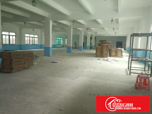 惠阳新圩原房东标准厂房一楼1400平方厂房出租