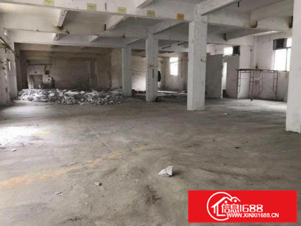 龙岗新空出独门独院4500平可分租