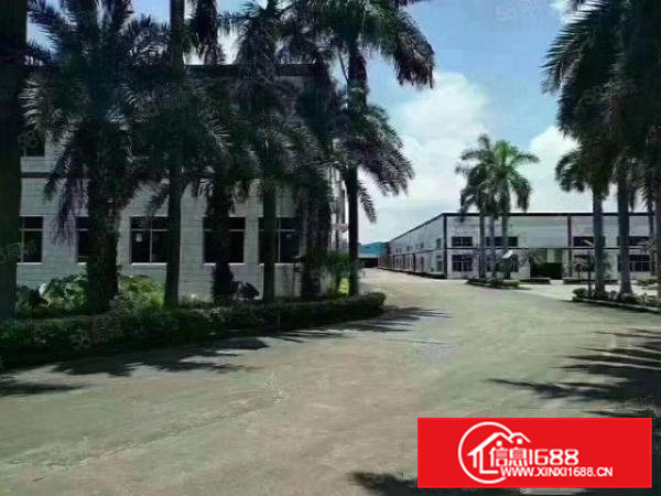 独院钢构厂房出租滴水9米12000平方。水电齐全适合各种行业