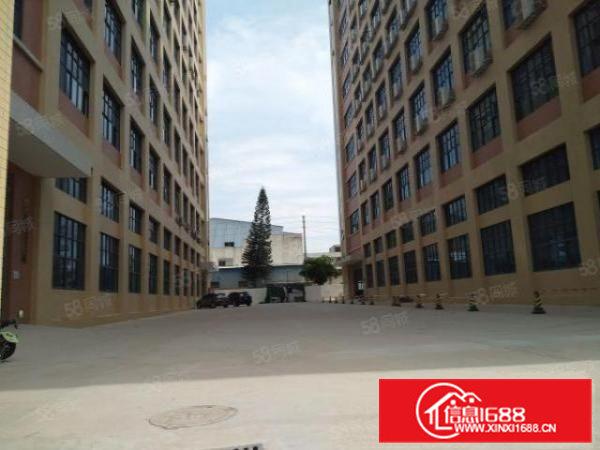 凤岗镇官井头全新一楼3200平厂房出租高度8米带牛角消防喷淋