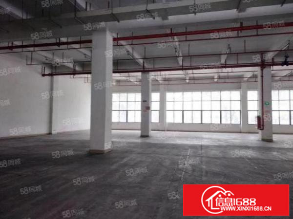 又靓又便宜独门独院高速出口旁厂房出租