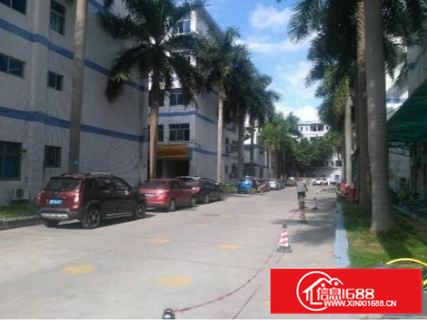 龙岗坪地高桥大工业园内1980平，有办公室有地坪