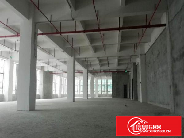 伦教业区标准厂房5200方、可分租、电大市政排污