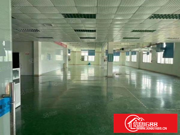 常平桥沥常黄路捷安工业园附近新出三楼1270平方