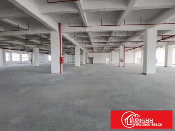 凤岗雁田原房东楼上一整层3000平方大小可分厂房仓库出租