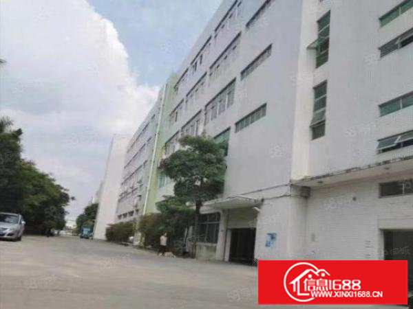 坪山大工业区一楼楼上10000平大小分租