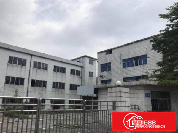 清溪铁场村一楼1000平方厂房仓库出租空地大招工方便