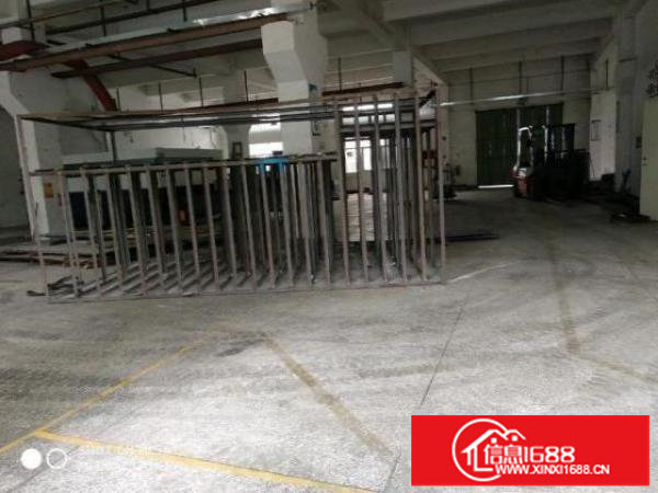 观澜龙华新田一楼400平米5.5米高带牛角有办公室