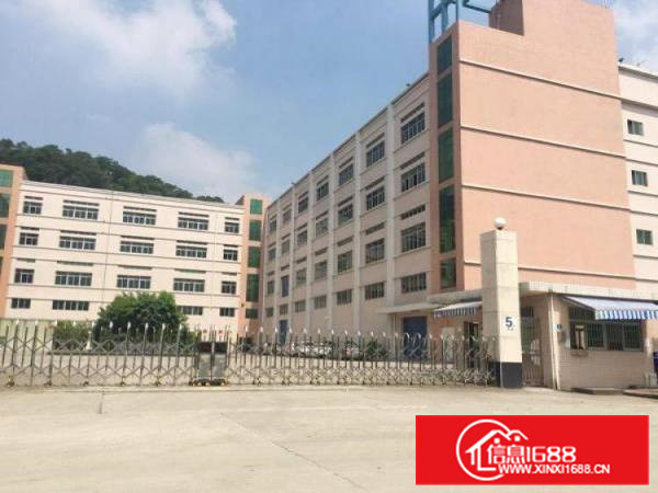 桥头新出8000平米标准厂房出租