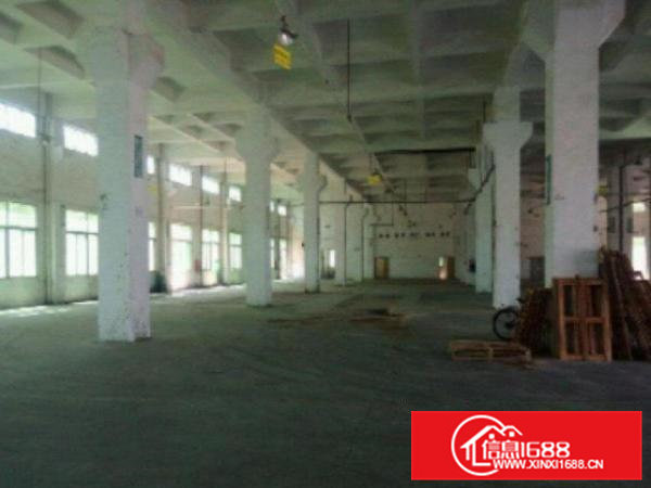 高埗标准厂房分租一楼800平方带办公室装修厂房干净整洁