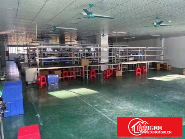 清溪荔横新出二楼480平方带水电办公低价急租