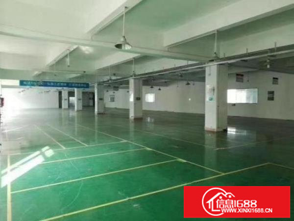 标准实际面积出租，有红本原房东。