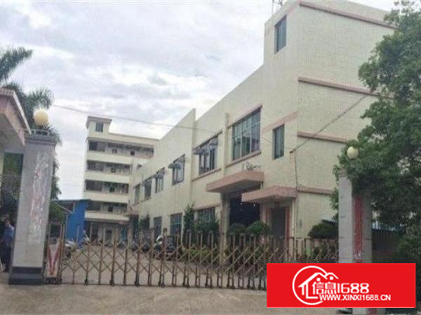 万江原房东标准厂房一楼800平方带精装修出租