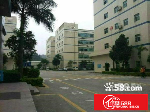 布龙路边元芬工业园新出一楼500平方