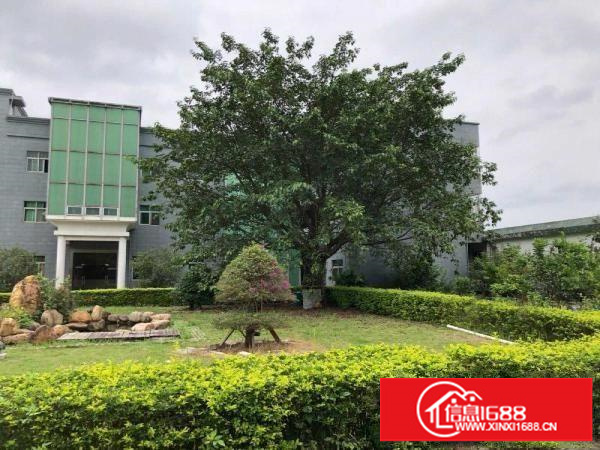 出租龙岗区坪地六联社区鹤坑工业区厂房写字楼办公楼商业招待电商