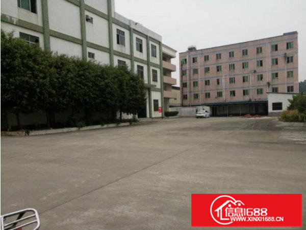 龙岗区水官高速标准一楼厂房700平方低价出租