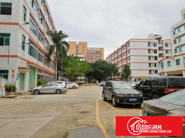 横岗六约新出原房东一楼厂房1600平出租面积实在大小分租