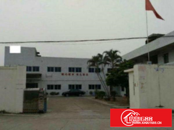 万江单层独院1500平方招租，可分租，配套齐全