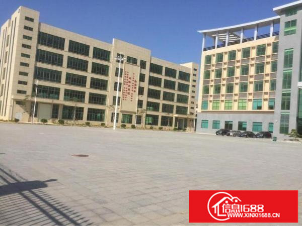 坪山全新红本高新产业园招租