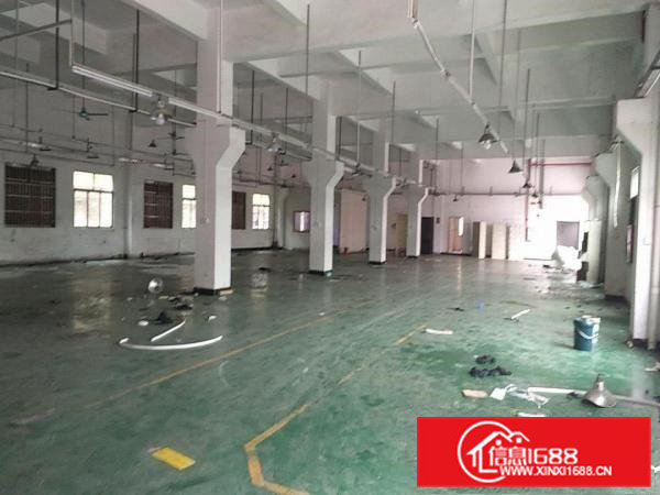 自建独院厂房出租5000平米