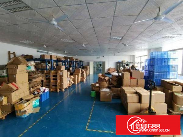 仲恺潼湖标准厂房楼上空出1300平方，带装修办公室！