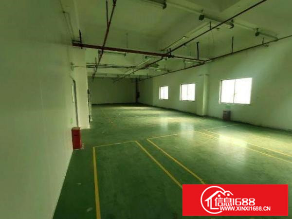 福永新出带装修原房东4400平的厂房