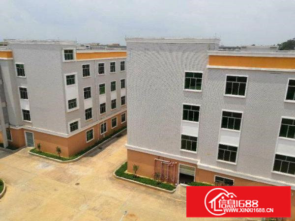 大朗镇环境优美工业园新出一楼1000平方，豪华装修