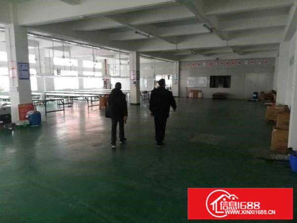 凤岗油甘埔新出带办公室装修，800平米彩光非常好