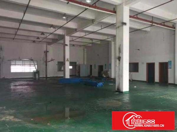 清厦房东直租标准厂房楼上550平出租，九成新，价格优惠