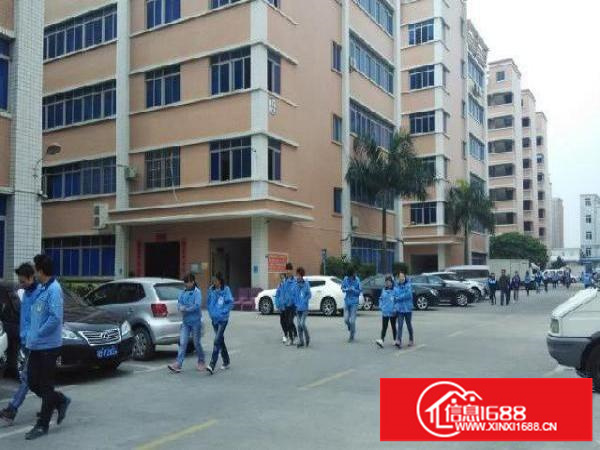 丹竹头附近早禾坑宇翔工业园正规厂房仓库适合电商、服装厂等