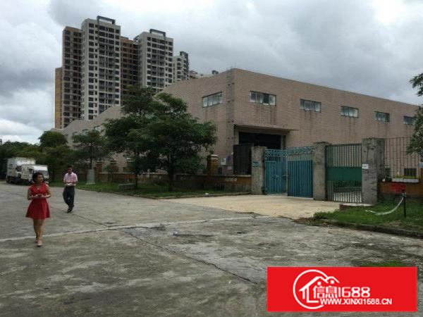 仲恺陈江独院12米高厂房出租22000平方