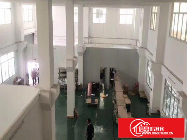 常平新出独栋厂房共二层1400平方，带牛角，地坪漆