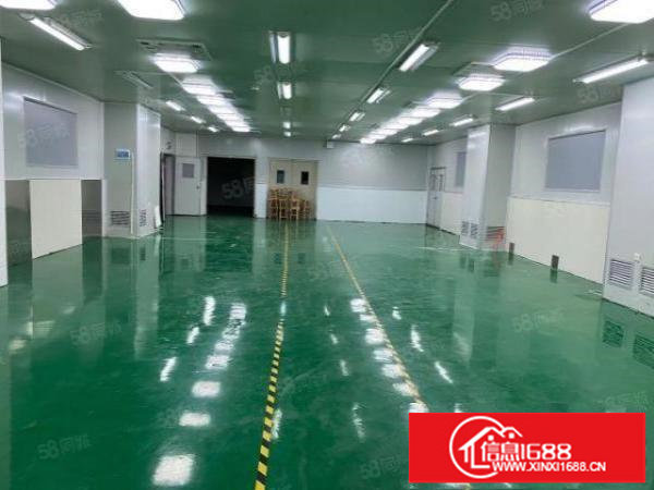 丹竹头地铁站200米附近电商产业园厂房10万平米出租大小可分