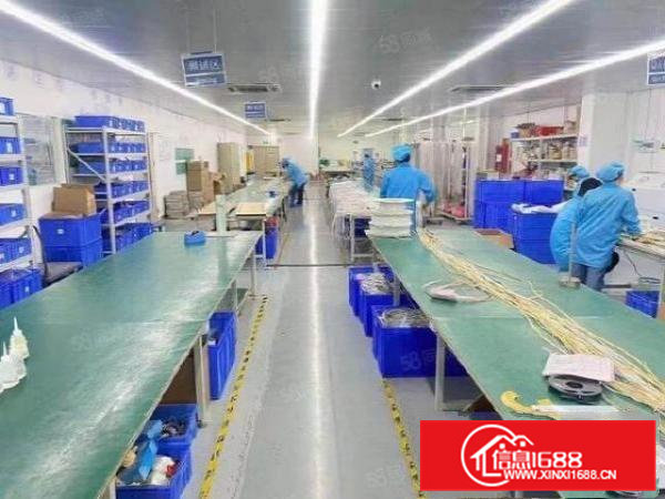 常平高新产业园带装修无尘车间,不要转让费!整层(急租)