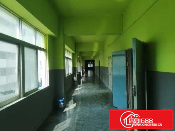 布吉街新出一万平，租金20一平方，可以分租