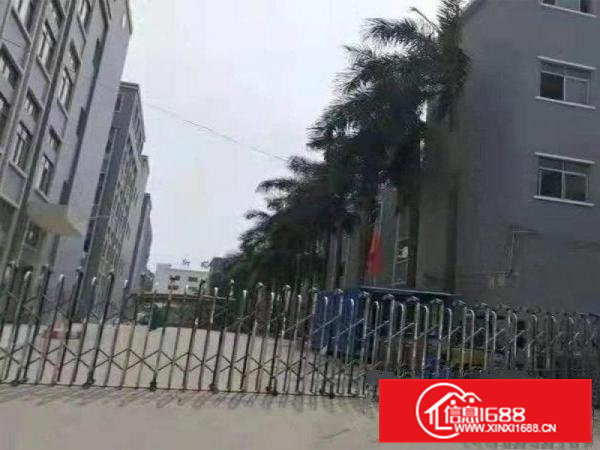 黄草朗一楼1100平方招租正规工业园可办环评有办公室配备饭堂