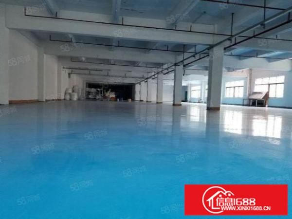 可办环评园区厂房带现成装修容桂工业区3500方厂房出租