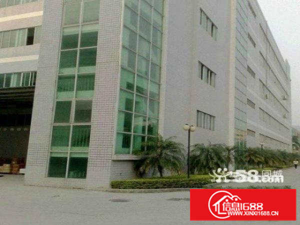 民治新出油松高新科技园2楼3楼每层1600平方